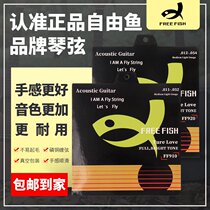 Free Fish Guitar Folk Guitar W String Covered Anti-rust String Official String
