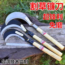 Outdoor agricultural tool cutting grass cut vegetable sickle to harvest wheat rice canola full steel long handle bent knife camping open road