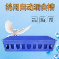  Pigeon utensils and supplies Daquan Anti-sprinkling trough Automatic leakage trough Carrier pigeon solid wood trough Meat pigeon feeding feeder