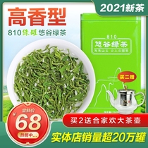810 Yougu spring green tea 2021 new tea bulk Haojian tea Alpine cloud canned high incense fried tea 250g