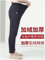 Northeast warm elderly pants Grandvet Grandparents Plus Suede Thickened Hump Pants Big Code Middle-aged And Elderly Dad Winter Cotton Pants Man