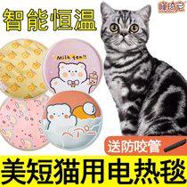 Beauty Short Plus White Tiger Spotted Kitty Special Thermostatic Electric Blanket Nest Winter Heating Electric Bedding Heating Mat waterproof bite