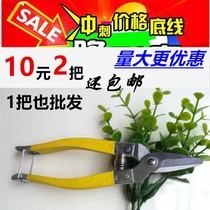 Luoding stainless steel fruit cutting sugar orange small yellow scissors picking fruit cutting Gong orange navel orange fruit cutting