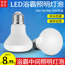 Yuba bulb led middle lighting 5W toilet waterproof and explosion-proof 275W heating E27 screw 40W Universal