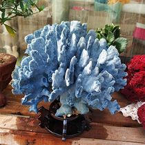 Natural blue coral bone coral reef landscape stone home decoration aquarium set conch shell props ornaments