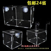 Box Sea Box large transparent bait box incubation breeding incubator fish tank sea tank training bait to isolate seawater aquarium aquarium