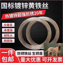 Hot-dip galvanized yellow iron wire passion fruit macaque macaque pick vines for vines set up anti-rust wire communication engineering binding line anti-rust