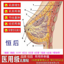 Hengshen official breast patch lobule Accessory breast nodules mastitis hyperplasia scattered block anti-inflammatory dredge cyst block
