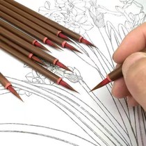 Special cinnabar pen for writing symbols small red hair wolf hair small case brush no hair fine brushwork traditional Chinese painting watercolor gouling pen sutra copy