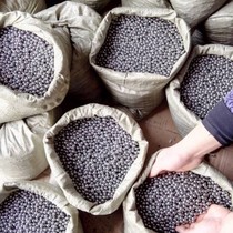 8mm bullet ball 9mm solid iron ball 7mm ball iron ball 6 4mm small steel ball 8 5mm slingshot steel ball