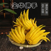 Jinhua fresh bergamot bergamot bergamot bergamot Citron for viewing play with small Bergamot