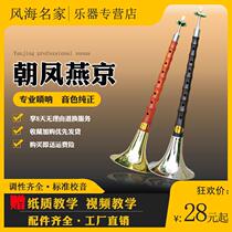 Suona musical instrument beginner Yanjing Suona musical instrument full set beginner flower pear Ebony suona Rod D-tone adult Special