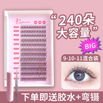 Fishtail False Eyelash Womens Supernatural Mixed Dress Sectional wool single cluster dovetail Self-grafting Andromeda Airy Eyelash Eyelash
