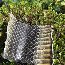 Musical instrument accessories in the middle section of single snake skin Jinghu Sihu skin material Jinghu Sihu Huqin accessories