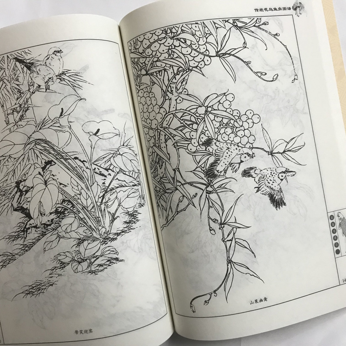 南風素描 花・鳥・魚 画集 作品集 花鸟鱼虫画-花鸟鱼虫画促销价格、花鸟鱼虫画品牌- 淘宝