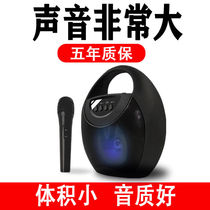 Outdoor Singing All-in-one Street Artists Selling Rap Sound Two-Dimensional Code Collecting Money Mike-Integrated Microphone K Song