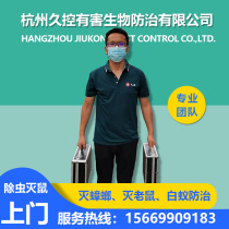 Family extinguishings cockroach hostages for a year All Hangzhou Jiaxing Shaoxing door-to-door except rat-catching mice and killing insects and small and strong