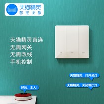 Bull Sky Cat Elf Smart Switch Control Panel Wall Light Voice Control Home Wireless Remote Control Double Open