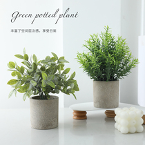 Simulation green plant small potted fake plant eucalyptus fake flower bonsai indoor living room decoration desktop decoration decoration