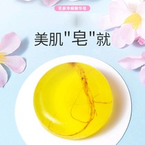 Ginseng Soap Sophora Flavescens Soap Mite Soap Cleansing Essential Oil Handmade Soap Facial Mites and Non-Stimulating