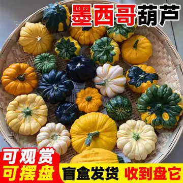 墨西哥葫芦南瓜七彩疙瘩文玩花材摆盘-墨西哥葫芦南瓜七彩疙瘩文玩花材