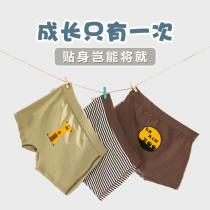 Kids Panties Baby Boy Cute Cartoon Comfortable Cotton Boxer Panties 2-4-6-8 years old