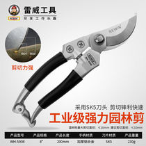 Scissors for cutting oranges rough shears pruning shears tree scissors tree scissors pruning branches gardening shears