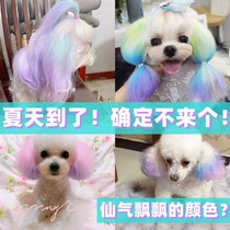 Pooch Hair Dye Hair Pet Special White Bibear Teddy Animal Kitty Stain stain Hair Cream
