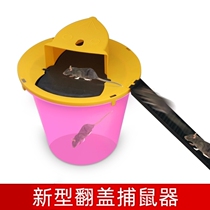 Cross-border new Rat Trap mousetrap trap seesaw flip trap to catch and catch mouse tool