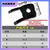 Dog fractured front leg rear leg fracture fixing splinter protective leg pet protective knee steel sheet support protection cat gold matteri