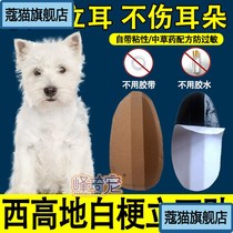 West Elevations White Stalk Special Stand Ear Stickler Ear Assistive Device Corrective Bracket Fixer Free of glue puppies