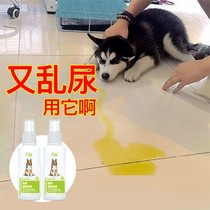 (Regardless of Bag Withdrawal) Anti-dog urine spray Puppy Mess Urine to Prevent Dog Samuria Urine Repellent for Insect Repellent to Dog God