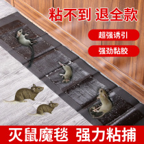 Sticky Rat Board Stained Mouse Stickler Powerful Oversize Rodent Magic Carpet Exorcism of Mouse Divine Instrumental Super home Indoor