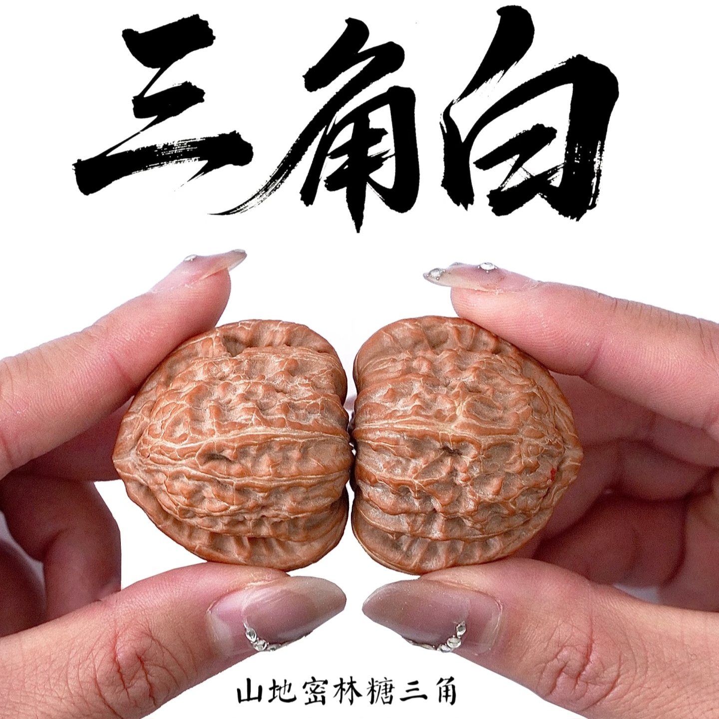 三角白狮子头-三角白狮子头促销价格、三角白狮子头品牌- 淘宝