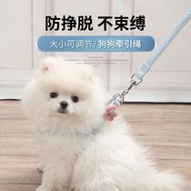 Pooch teddy small dog vest style traction rope Bears dogs Dogs Puppies Puppies Dogs Rope Ropes Pet Dog Chains