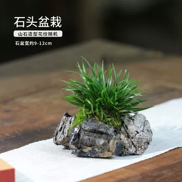 菖蒲盆景文房摆件-菖蒲盆景文房摆件促销价格、菖蒲盆景文房摆件品牌- 淘宝