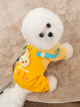 Японцы импортируют одежду для собак Mujie, буксируемые брюки, крошечные щенки и медвежонка Тедди Боми