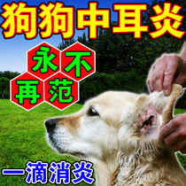 Dog ear dehydrate for pet ear dirt ear dirt cleaning and anti-itching anti-inflammatory sterilization special medicine