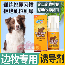 Side pastoral special dog Upper toilet positioning defecation-inducing agent bowels anti-glitch urine training Toilet Liquid Supplies Diuretic