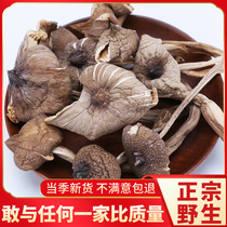 Authentic Yunnan Trinatal Chicken Fir 500g Dry stock pure wild fire to make mushrooms Oil Mountain Treasure Soup Flagship Store Fresh