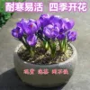 Товары от 鲜爱悦旗舰店