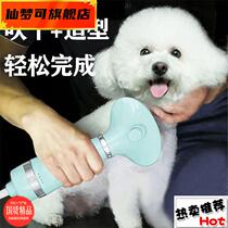 Pet Hairdryer Bath Archives BlowdddCat Dry Dog Dog Cat Blow Dry Hairdryer
