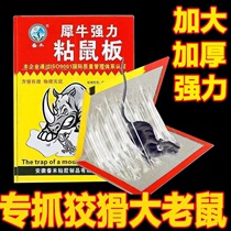 Powerful sticky rat board Mouse stickup with big rat stickler stickler Viscose Prey to kill the rat god-maker Kstar Home One cohorts