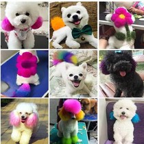 Pooch Hair Dye Hair Pet Special White Boobi Bear Teddy Dog Hair Coloring Matter Kitty Cat Dye Hair Cream supplies