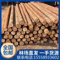 Hangzhou Fire Make Pile Pine Pile Outdoor Channel Pine Pine Pine Barrier Pine