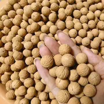精品收藏级文玩核桃-精品收藏级文玩核桃促销价格、精品收藏级文玩核桃