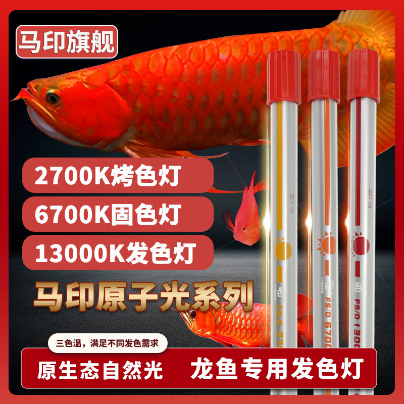 红龙鱼13000K固色灯-红龙鱼13000K固色灯促销价格、红龙鱼13000K固色灯