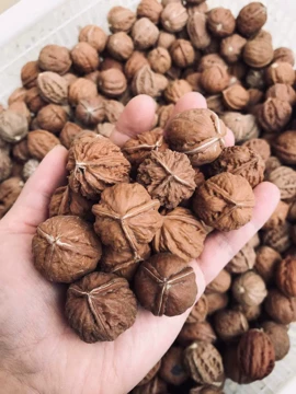 核桃文玩三棱-核桃文玩三棱促销价格、核桃文玩三棱品牌- 淘宝