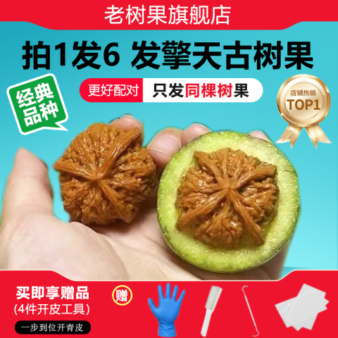 闷尖白狮子头精选和闷尖白狮子头品牌价格与图片-淘宝商品网