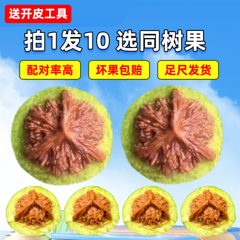老树皮小官帽核桃-老树皮小官帽核桃促销价格、老树皮小官帽核桃品牌- 淘宝